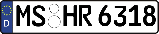 MS-HR6318