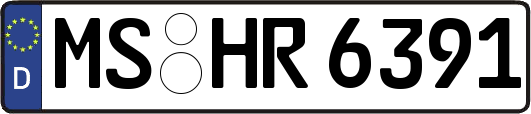MS-HR6391