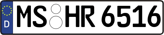 MS-HR6516