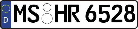 MS-HR6528