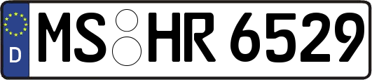MS-HR6529
