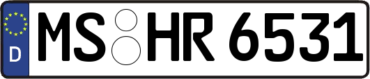 MS-HR6531