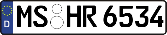 MS-HR6534