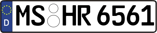 MS-HR6561
