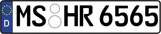 MS-HR6565