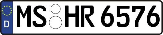 MS-HR6576