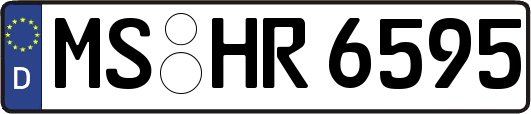 MS-HR6595