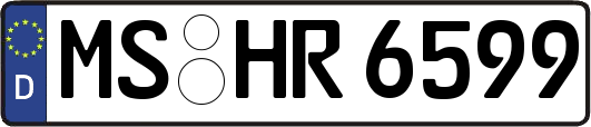 MS-HR6599
