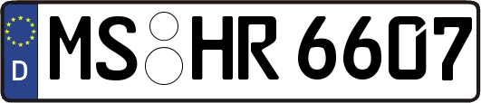 MS-HR6607