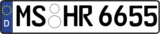 MS-HR6655