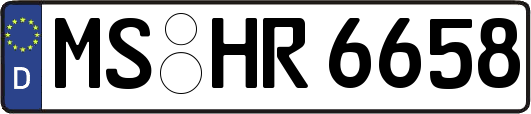 MS-HR6658
