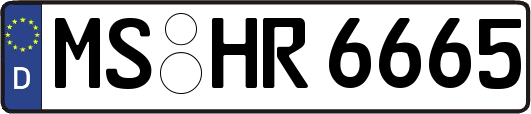 MS-HR6665
