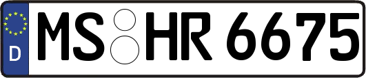 MS-HR6675