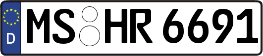 MS-HR6691