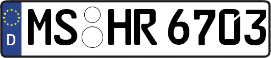 MS-HR6703