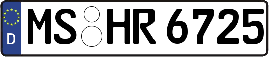 MS-HR6725