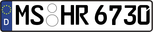 MS-HR6730