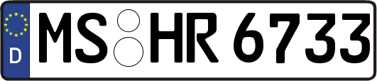 MS-HR6733