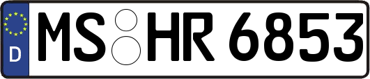 MS-HR6853