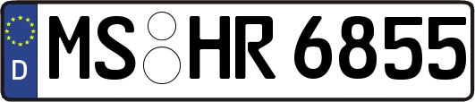 MS-HR6855