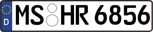 MS-HR6856