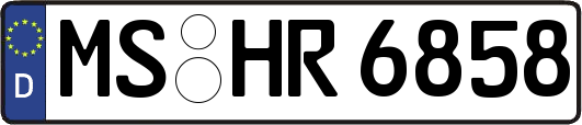 MS-HR6858