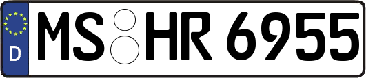 MS-HR6955