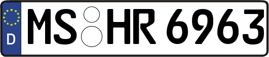 MS-HR6963