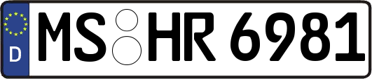 MS-HR6981