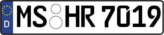 MS-HR7019