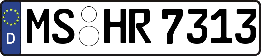 MS-HR7313