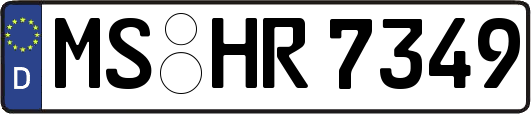 MS-HR7349