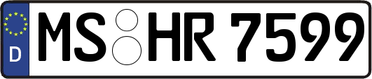 MS-HR7599