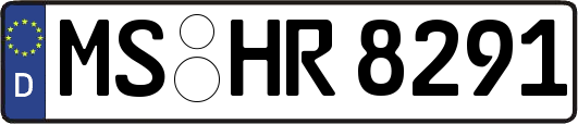 MS-HR8291