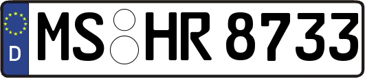 MS-HR8733