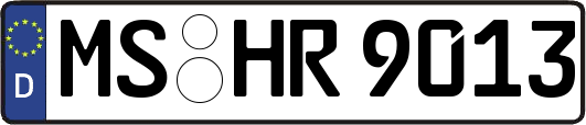 MS-HR9013