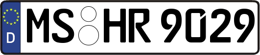 MS-HR9029