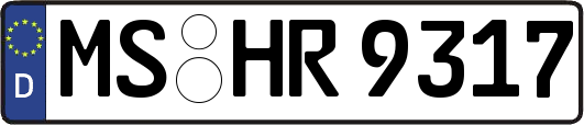 MS-HR9317