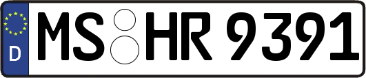 MS-HR9391