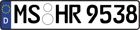 MS-HR9538