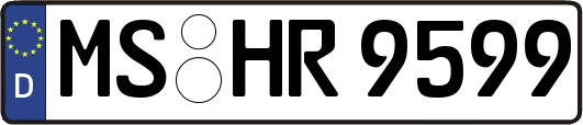 MS-HR9599