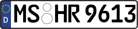 MS-HR9613