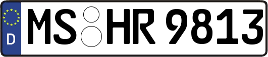 MS-HR9813