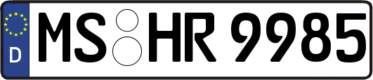 MS-HR9985