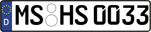 MS-HS0033