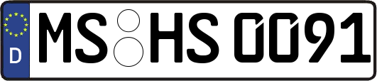 MS-HS0091