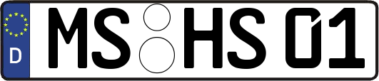 MS-HS01