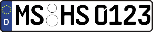 MS-HS0123