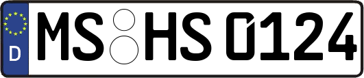 MS-HS0124