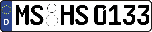 MS-HS0133